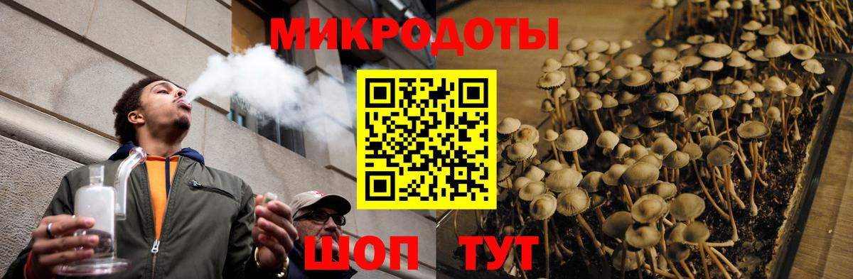 Псилоцибиновые грибы мухоморы Канаш