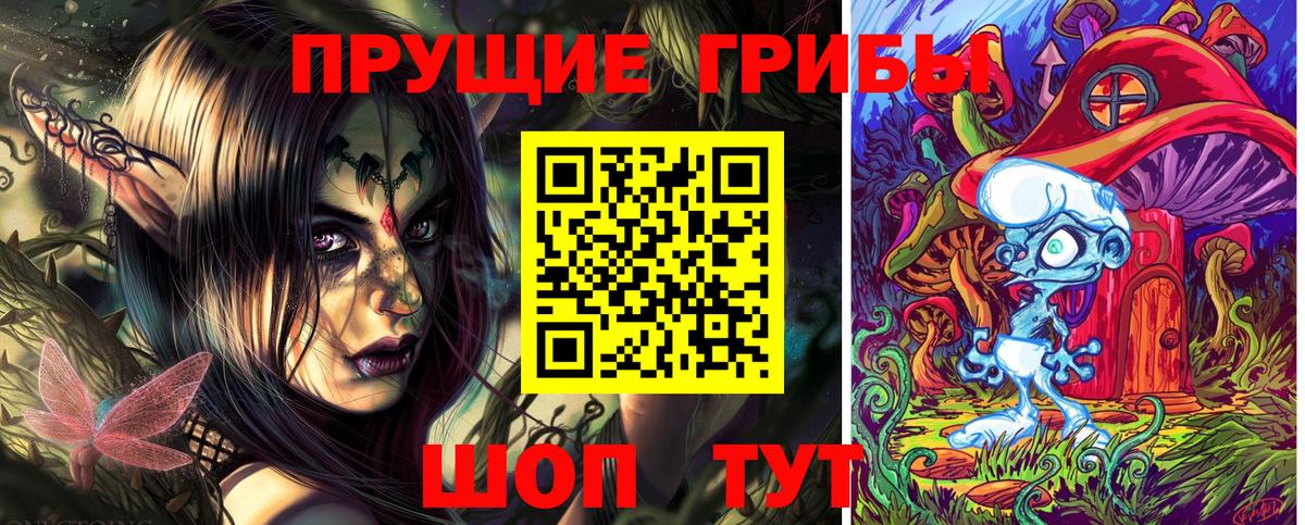 Канаш  Галлюциногенные грибы Psilocybe  Вход с VPN  Псилоцибиновые грибы GOLDEN TEACHER 